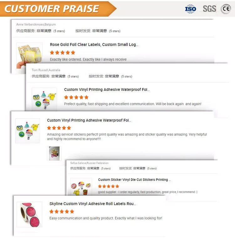client's feedback